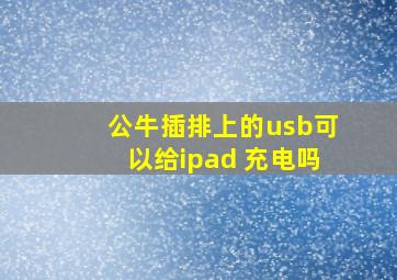 公牛插排上的usb可以给ipad 充电吗